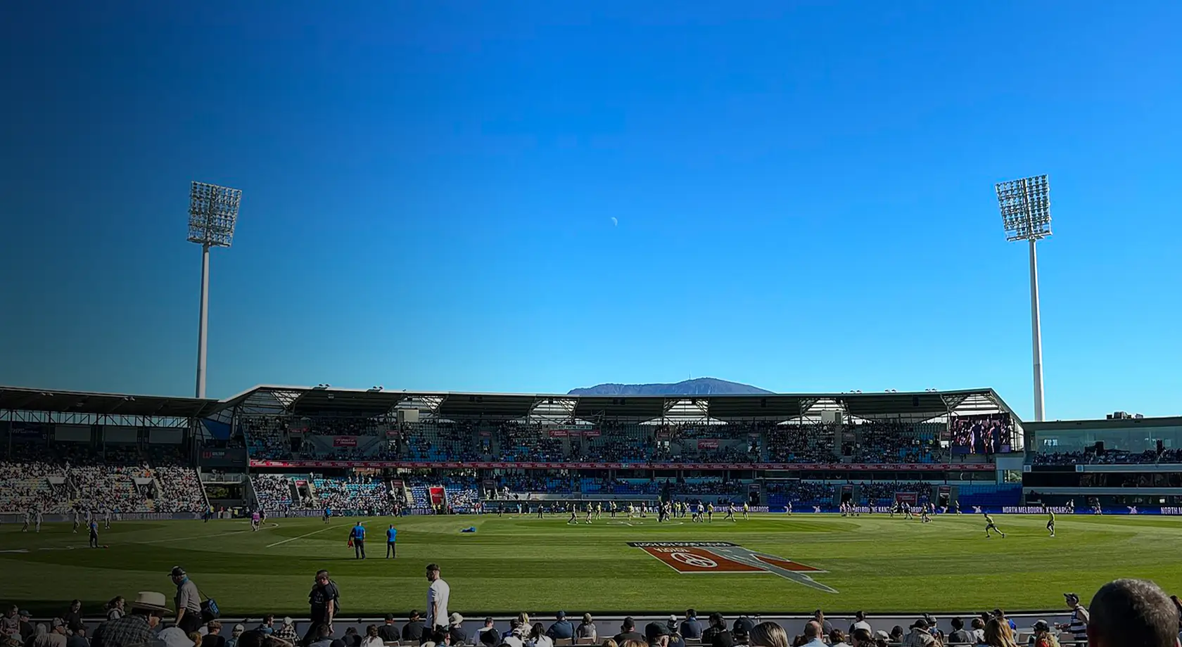 Ninja Stadium Pitch Report