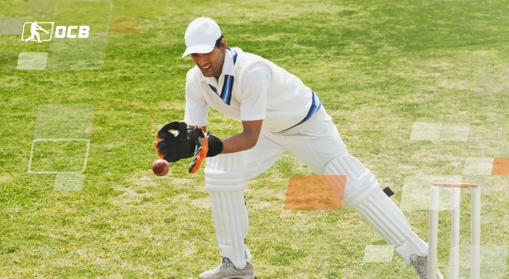 Cricket Match Predictions