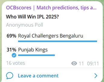 Who Won IPL 2025