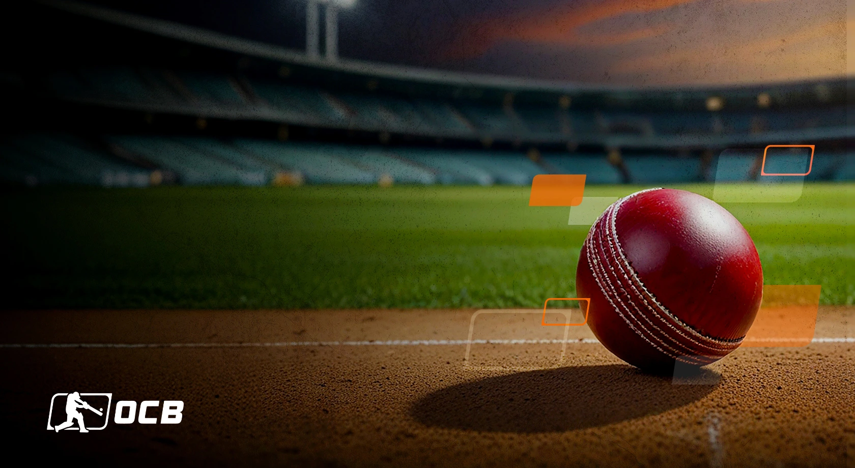 cricket pitch report